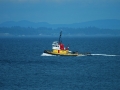 boats-0251