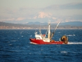 boats-0275