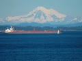 boats-0347