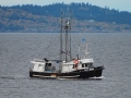 boats-1-3