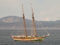 boats-1-5