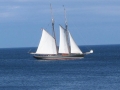 boats-1-9