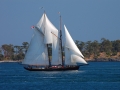 boats-1