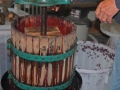 Winemaking-14