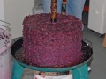 Winemaking-15