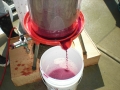 Winemaking-19
