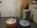 Winemaking-24