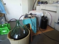 Winemaking-28