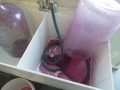 Winemaking-30