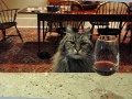 Winemaking-37