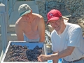 Winemaking-7